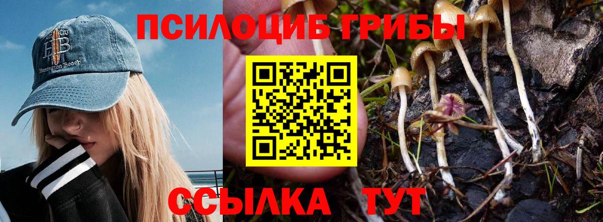 Галлюциногенные грибы мухоморы Набережные Челны